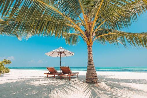 Gorgeous Beachy Chic Condo In Key Biscayne Miami Eksteriør billede